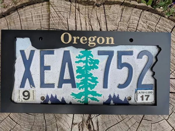 Modified plate number