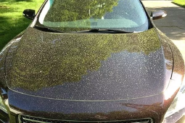 Cars with pollen 