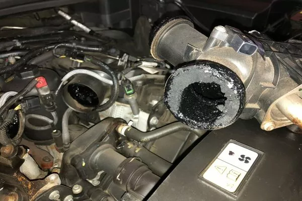 EGR system