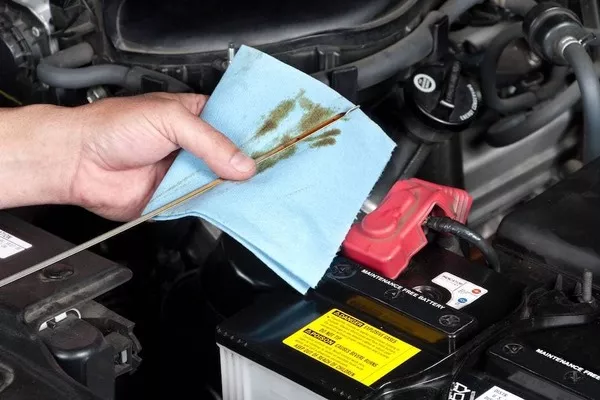 Man checking the car fluid