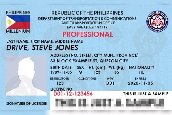 An LTO professional driver's license format 2020