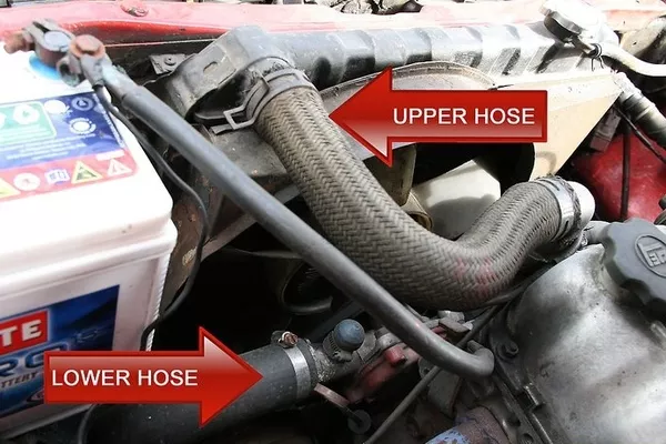 Two radiator hoses