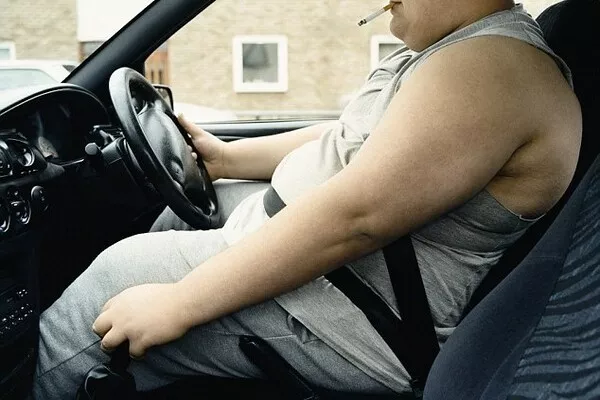 Obese driver wearing seatbellt
