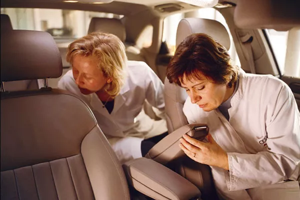 People sniffing inside car