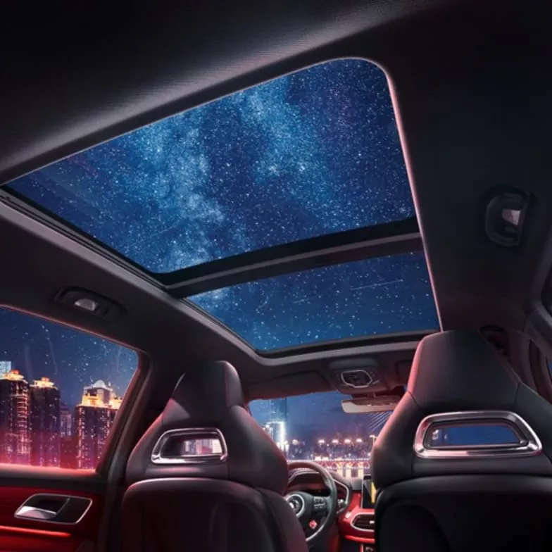 Panoramic moonroof from inside