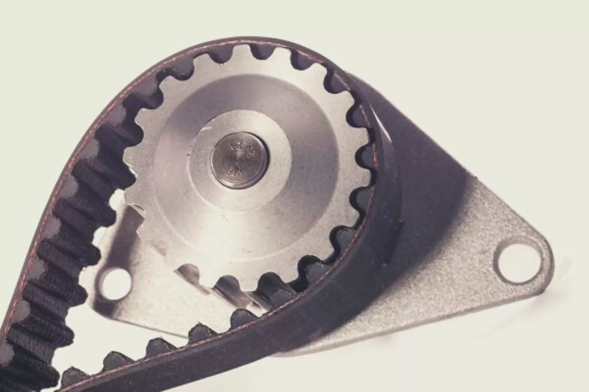 Timing belt in a gear