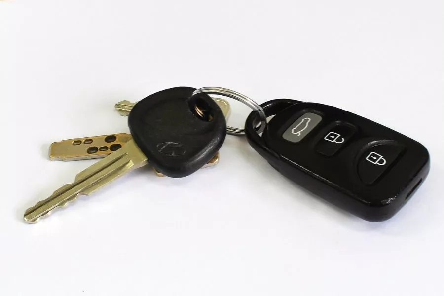 Car key fob