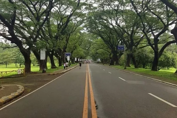 A road in the UP Diliman campus