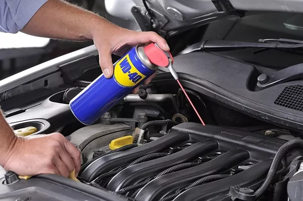 You first need to clean the engine with the use of the right degreaser man using WD40 on car timing chain