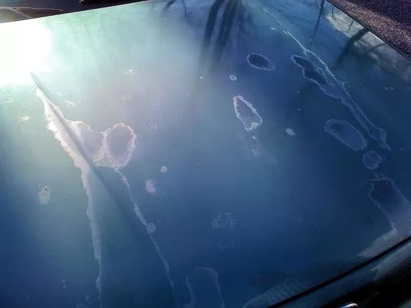 Car with large water spots