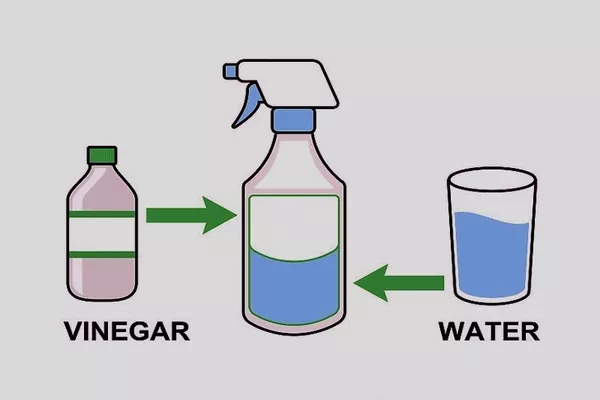Water and vinegar mixture
