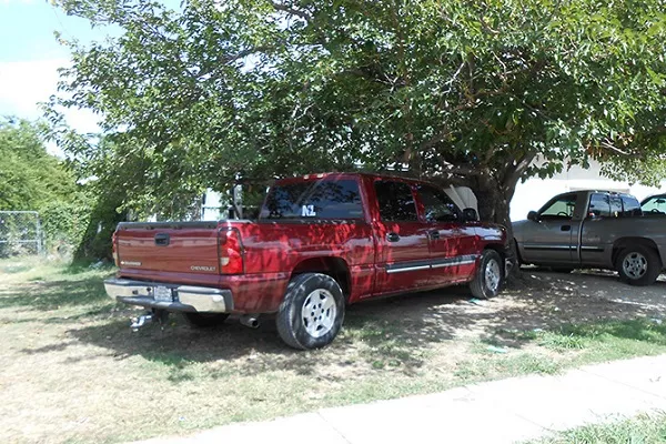 car parked under the tree