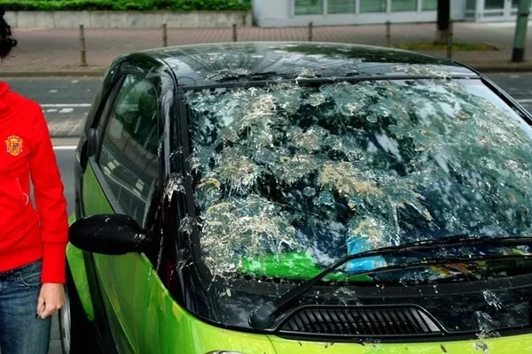 Windshield with bird poop