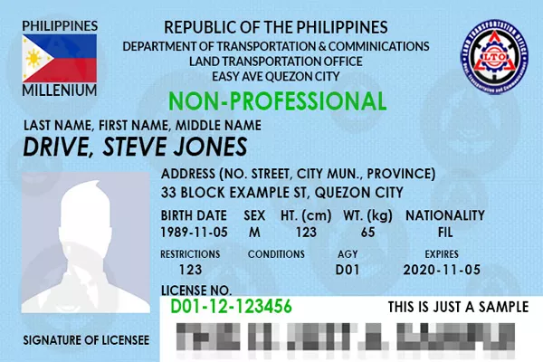 Non-Professional Driver’s License (NPDL)