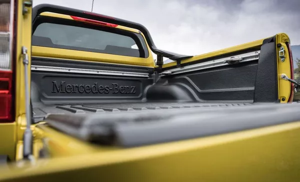 Trunk of a pickup truck