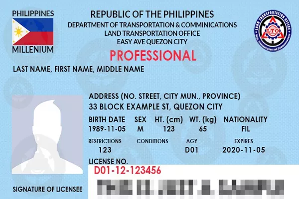 Professional Driver’s License