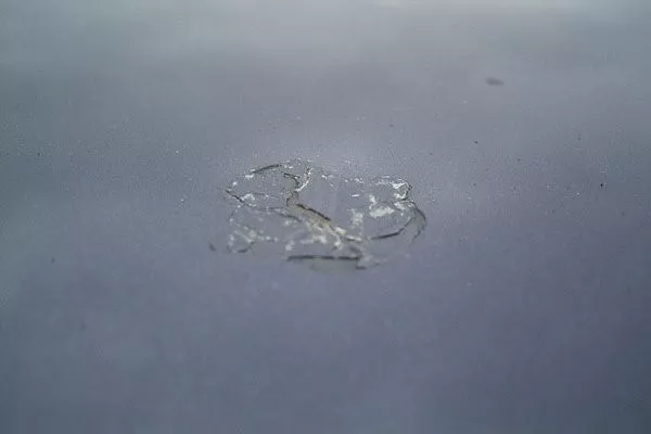 bump on car's paint due to bird poop