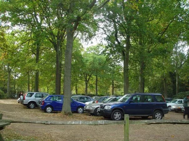 cars parking under the shade