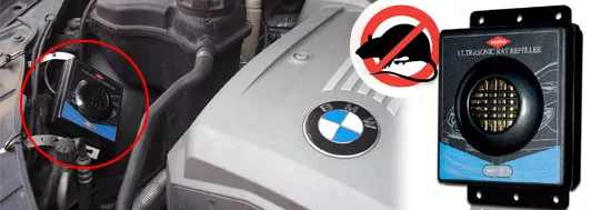 You should use ultrasonic devices. car ultrasonic rodent repellent device installed in a BMW