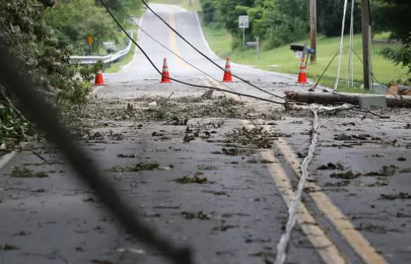 downed power lines and fallen trees on the road