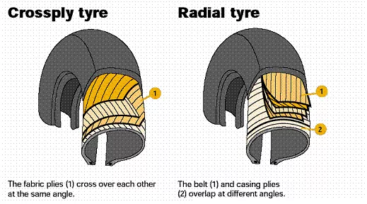 radial and non-radial tires
