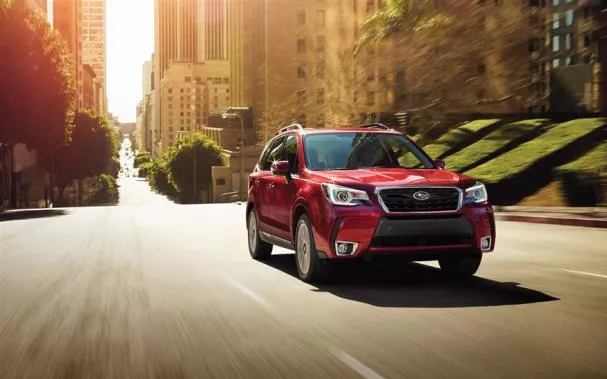 the Subaru Forester on the road