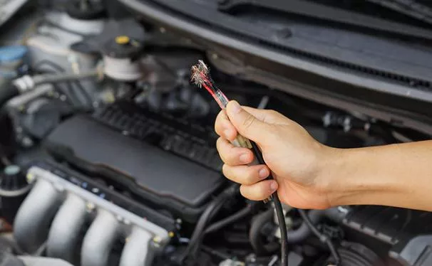 Leaving your beloved car unused for too long makes it an ideal shelter for many kinds of rodents A damaged wire in a car